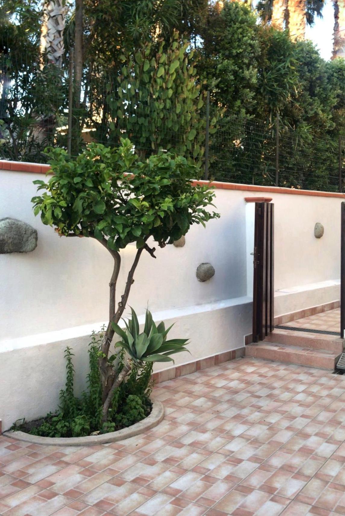 La Turrita Apartments Forio di Ischia Eksteriør bilde